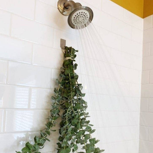 Natural Dried Eucalyptus Leaves Arrangement for Shower and Vase Decor