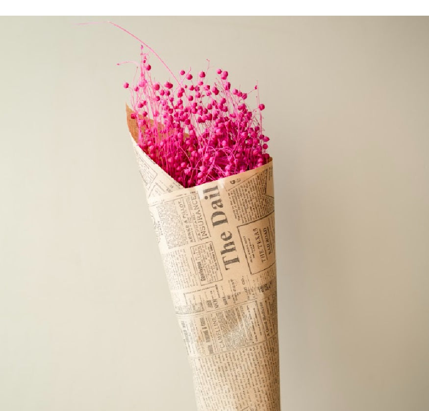 Pink flax dried flower