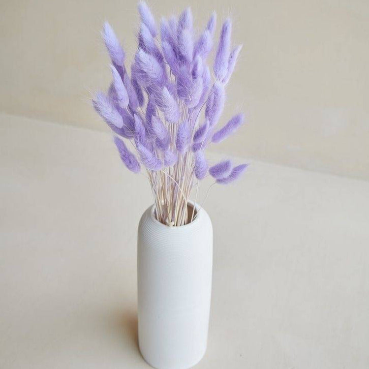 Lilac Bunny Tails Dried Flower for Vase Decor and Home Styling