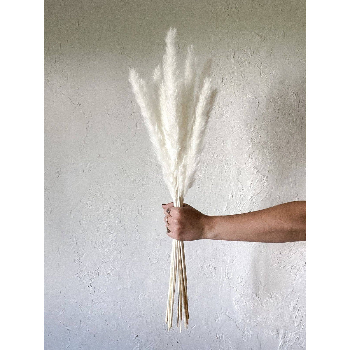 Mini White Pampas Vase Filler for Table and Shelf Decor