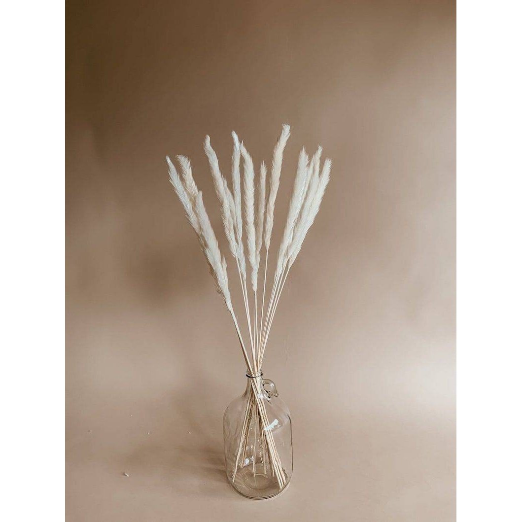 Mini White Pampas Arrangement in Decorative Vase