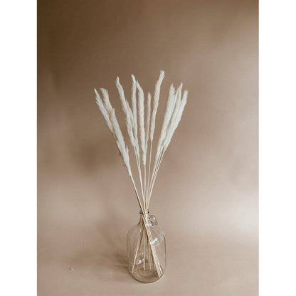 Mini White Pampas Arrangement in Decorative Vase