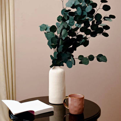 Natural Eucalyptus stems decorative floral arrangement for modern home decor and vase styling.
