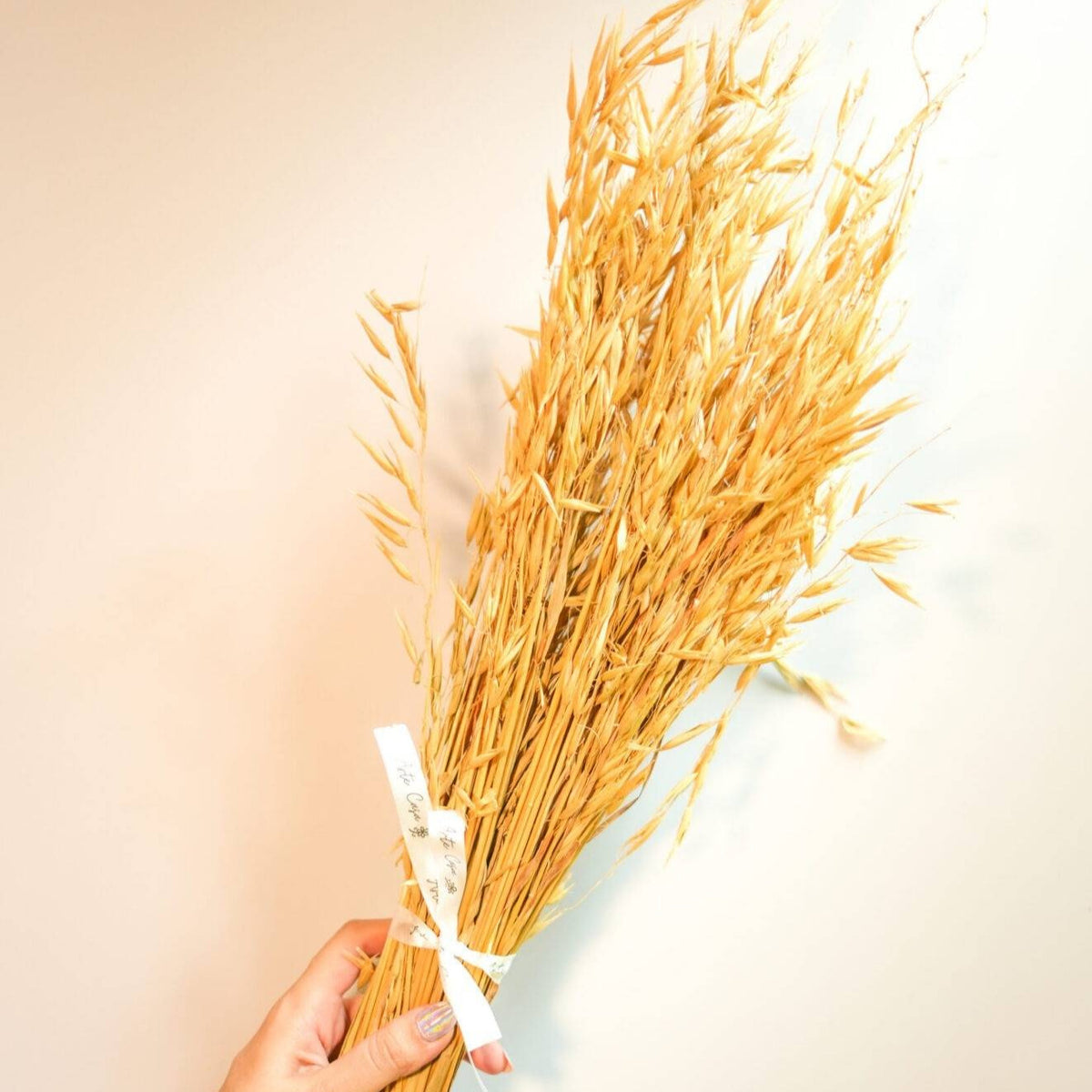 Natural Oats Dried Flower Bunch Arrangement in Decorative Vase