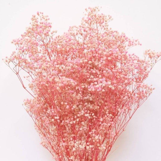 Pastel Pink Baby Breath Dried Flower Bunch for Vase Styling and Home Décor