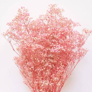 Pastel Pink Baby Breath Dried Flowers Bundle for Vase Decor