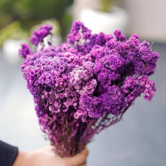 purple daises these are teh best dried flowers 