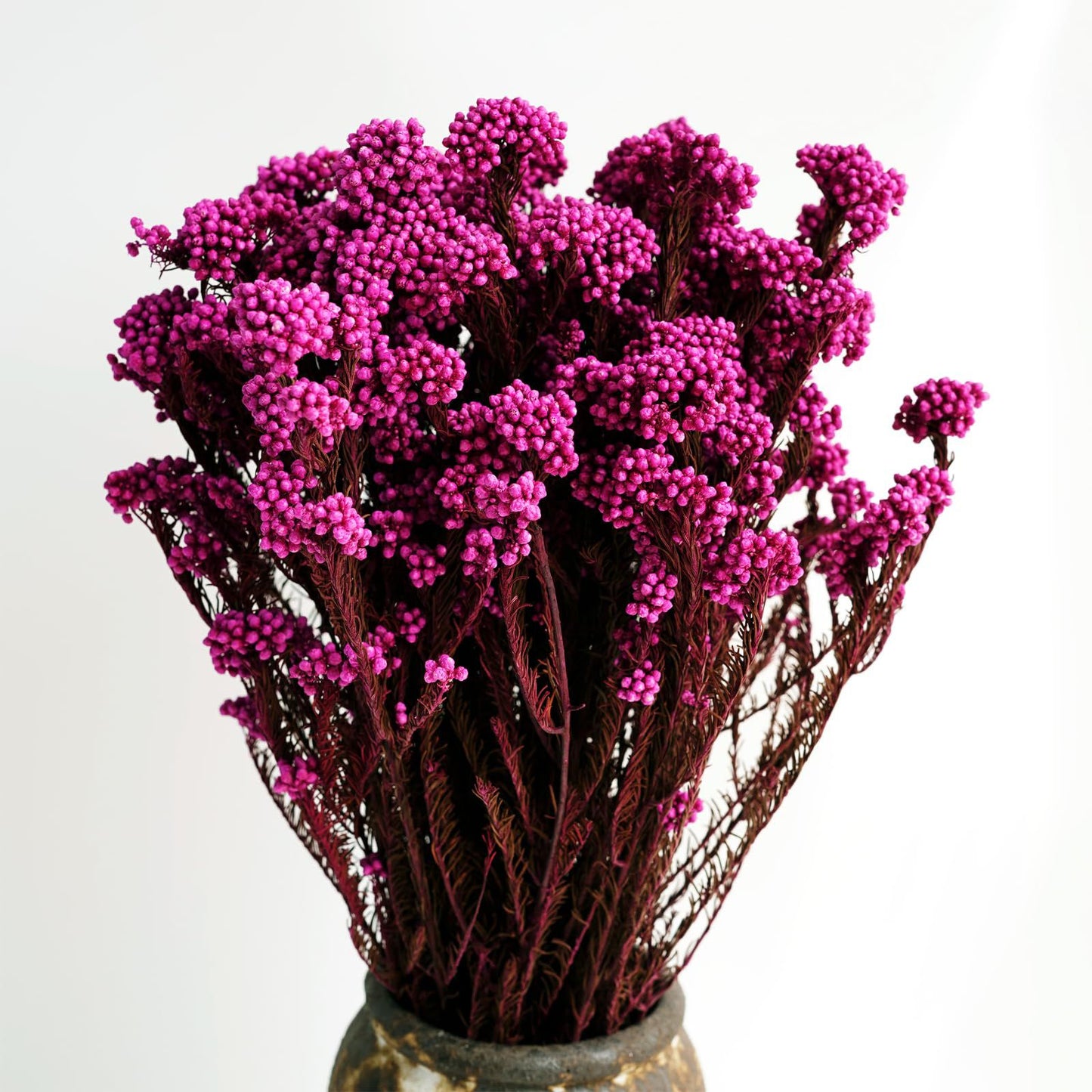 pink dried rice flower arrangement for home decor by artecasa