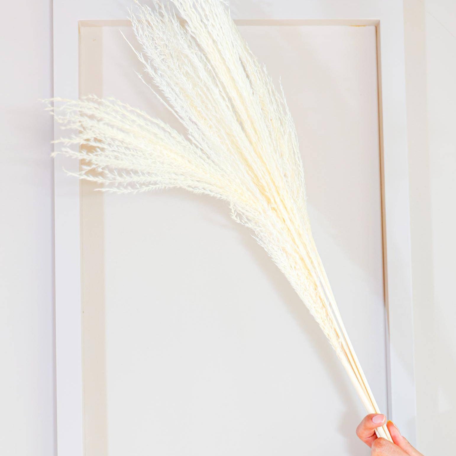 Red long vase with white reed pampas