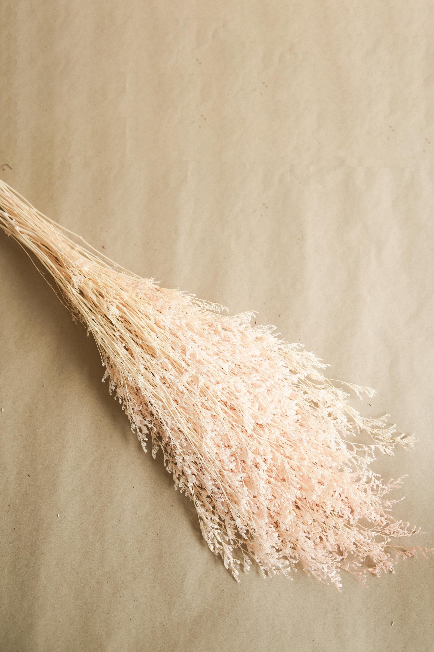 Dual Colour Limonium White Peach Dried Floral Decor for Home Styling