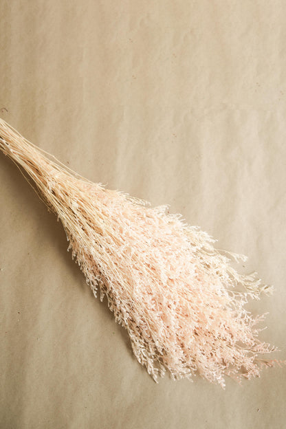 Dual Colour Limonium White Peach Dried Floral Decor for Home Styling