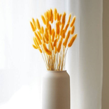 Yellow Bunny Tails Dried Flowers Bundle for Vase and Home Decor