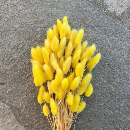 Yellow Bunny Tails Dried Flowers in Vase for Home Decor