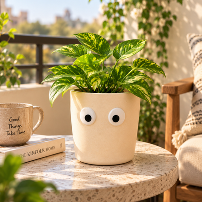 Petite Form Decorative Face Planter Set of 2 – Orange & White